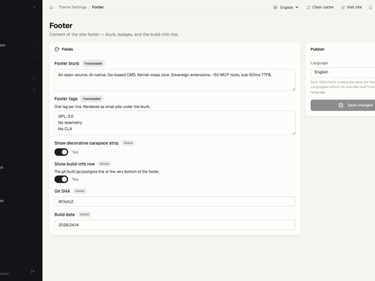Theme settings — footer