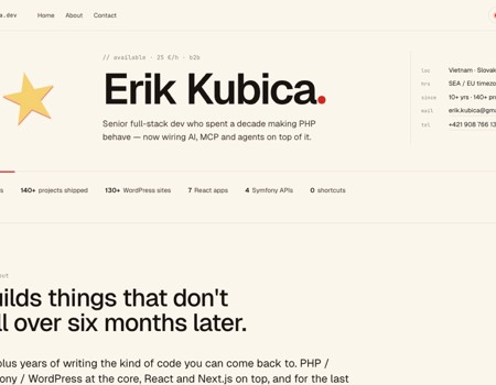 Curriculum Vitae demo theme screenshot